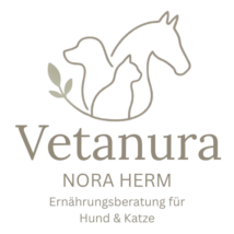 photo 2026 04 11 12 54 46 removebg preview