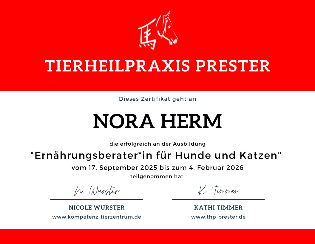 Meine Qualifikationen zertifikat eb hunde und katzen