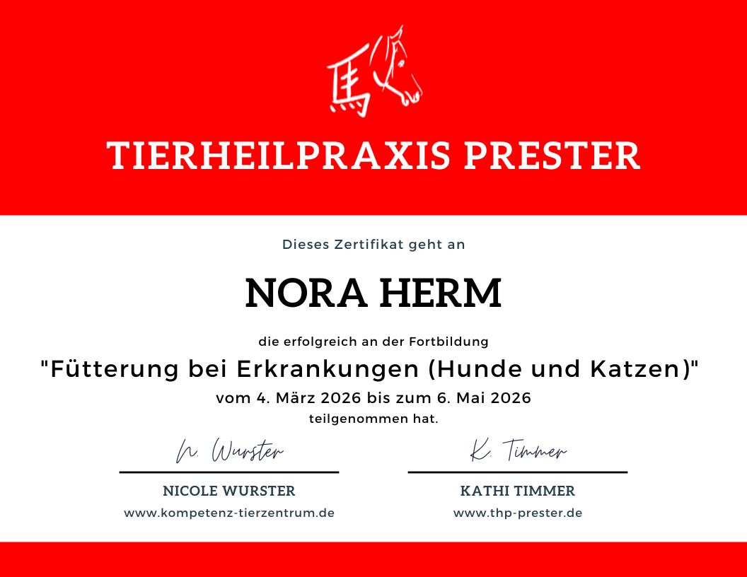 Meine Qualifikationen zertifikat fbe